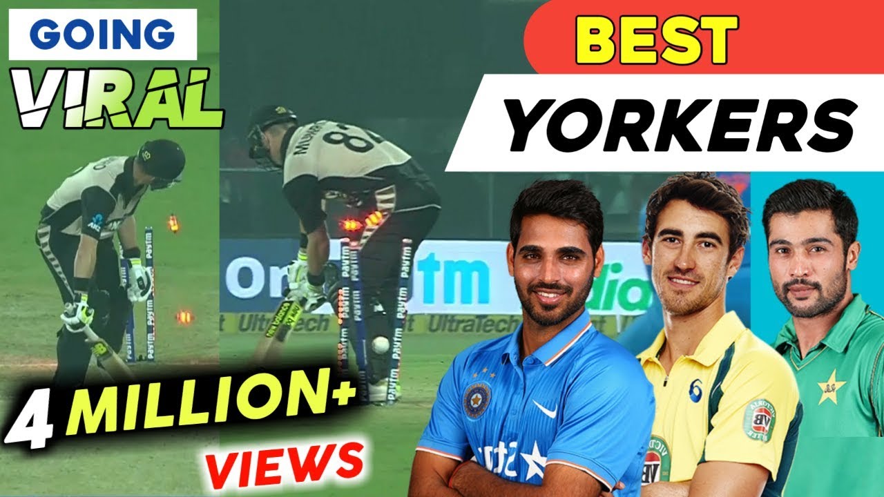 WHY ARE YORKERS MORE EFFECTIVE ? SEE
