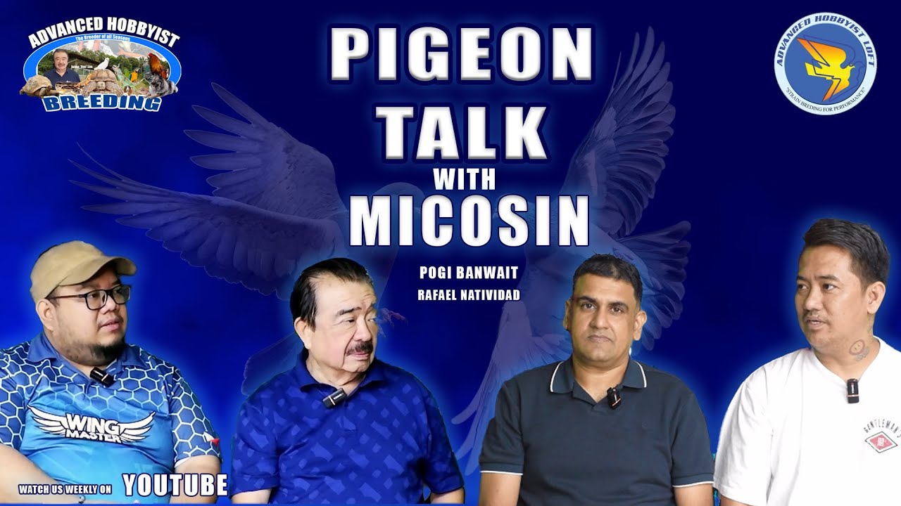 Pigeon Talk with Micosin Pogi Banwait at Rafael Natividad