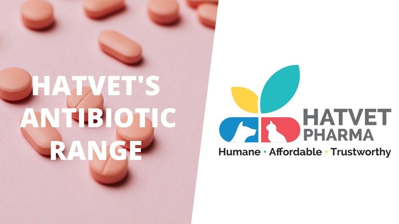 Hatvet's Antibiotic Range