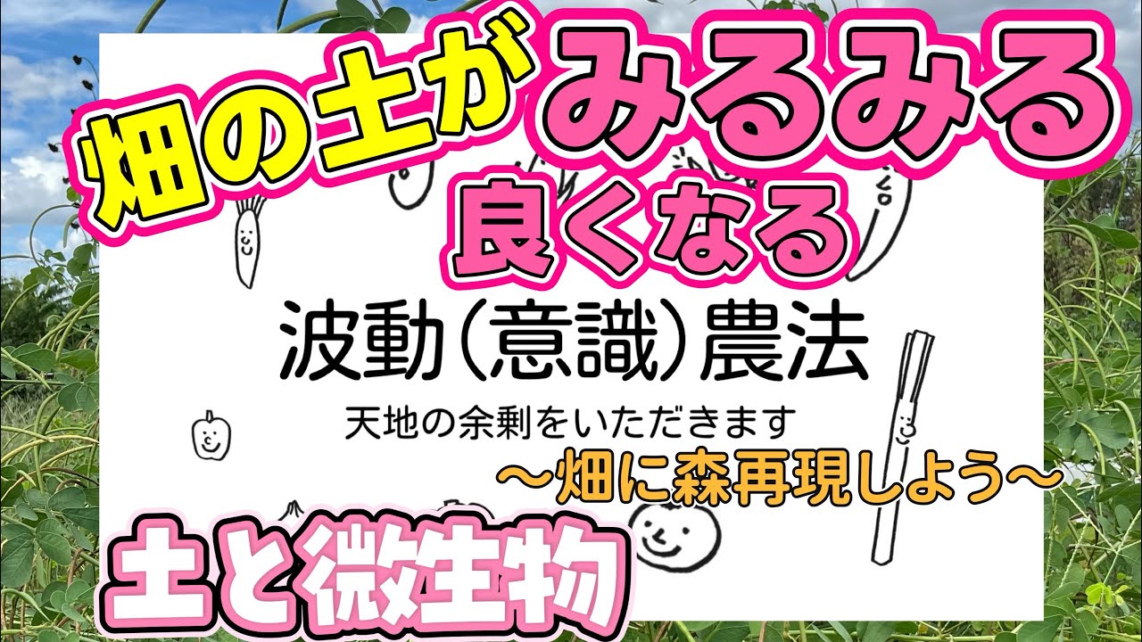 畑に森を再現しよう
