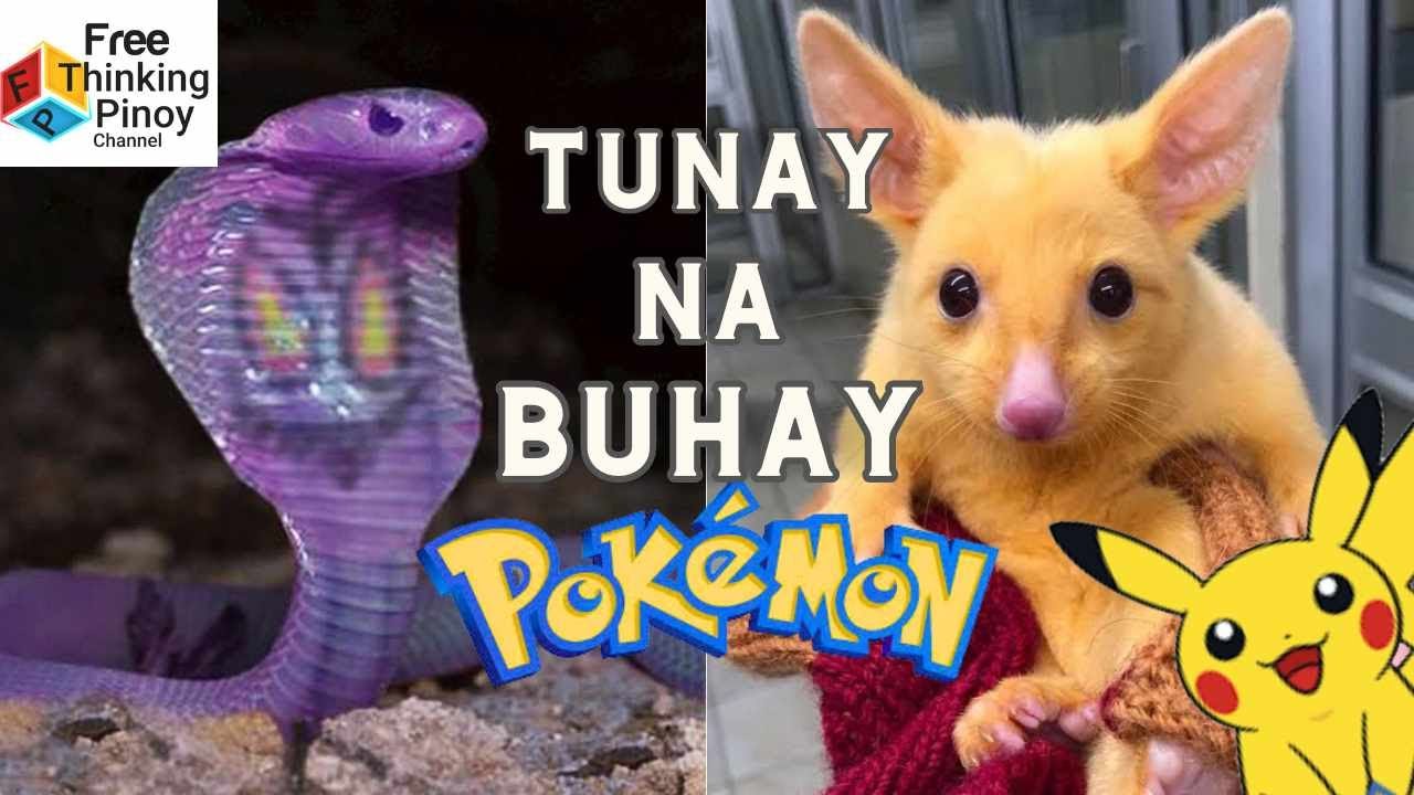 Ito ang mga REAL LIFE POKEMON na nakita ng mga tao | 9 Pokemon Caught