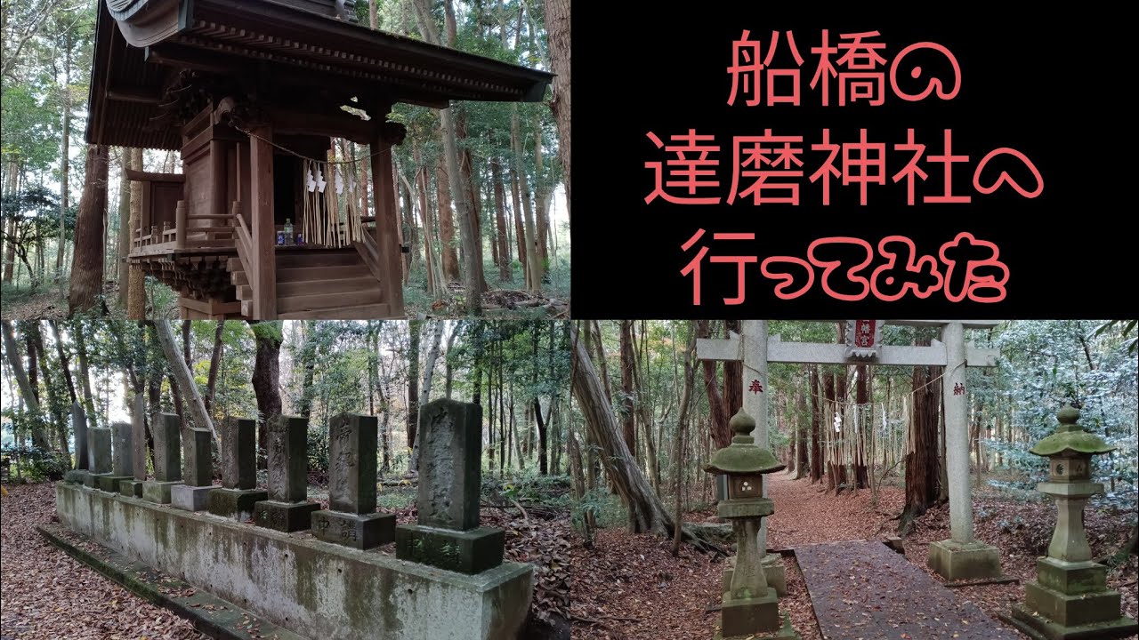 船橋の達磨神社へ行ってみた #心霊スポット #b級スポット #珍スポット #神社 #千葉 #行ってみた #船橋