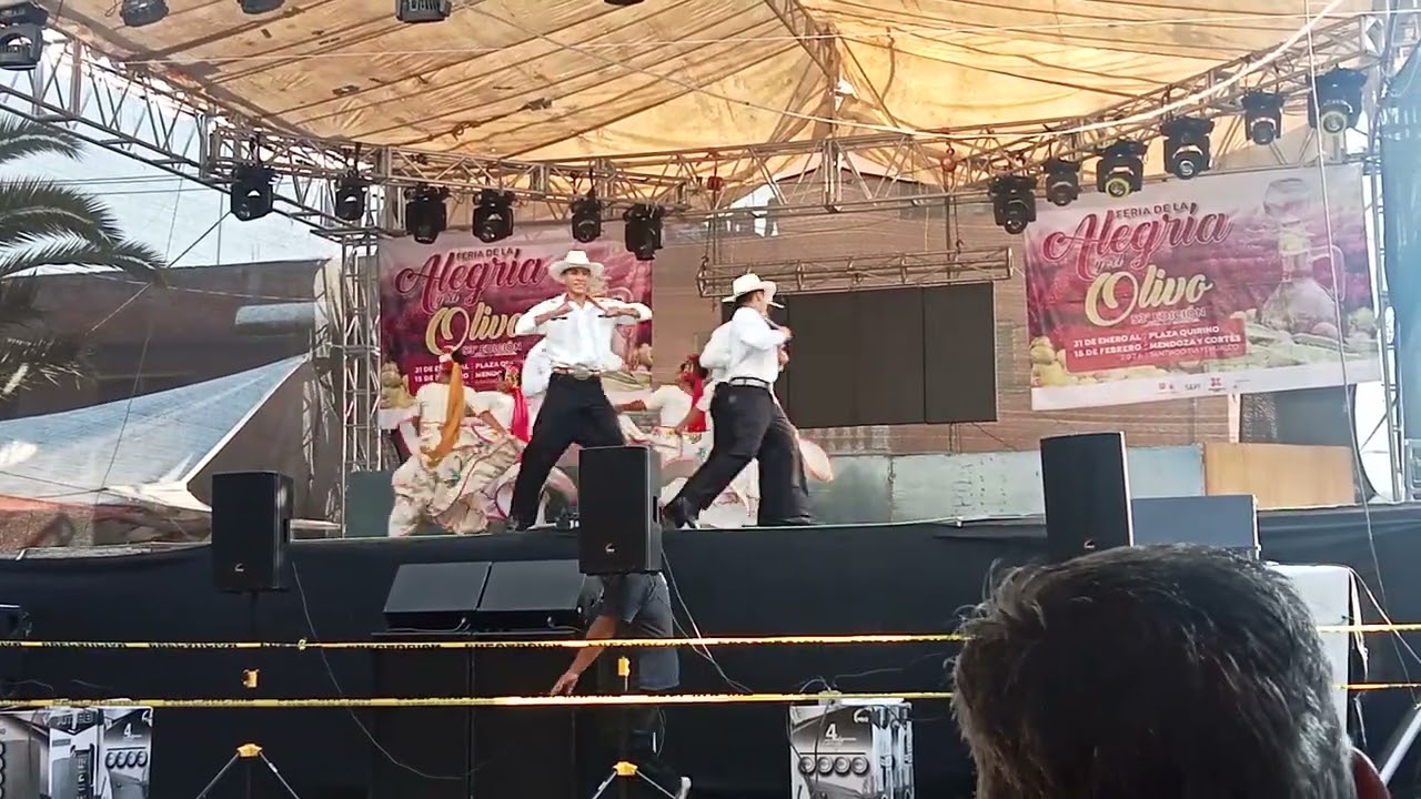10 de febrero de 2026 feria de la alegría 