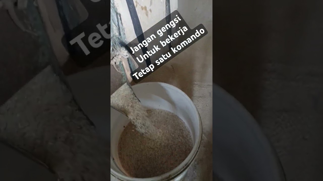 Tutorial gabah digiling #penggilinganpadi #penggilingpadi #shorts #shortvideo #strongman #kuli