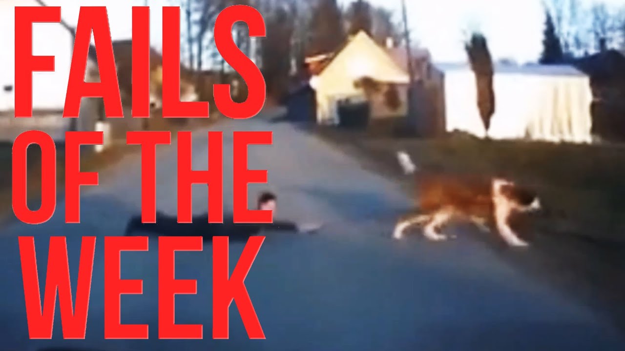 JUST FOR STUPID PEOPLE - BEST FAILS JULY 2015 - FailSector