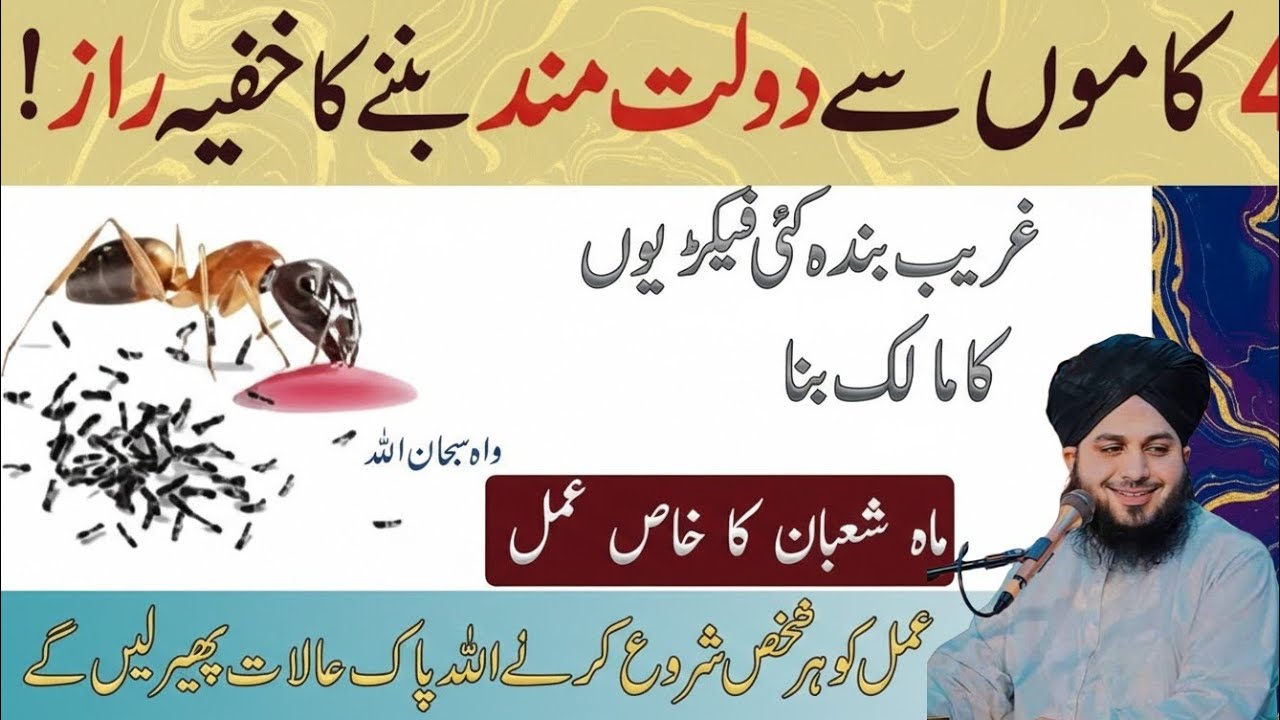 Sirf 4 Kaam Aur Ghurbat Khatam! | Daulatmand Banne Ka Khufia Raaz | Deen zone daily bayan 