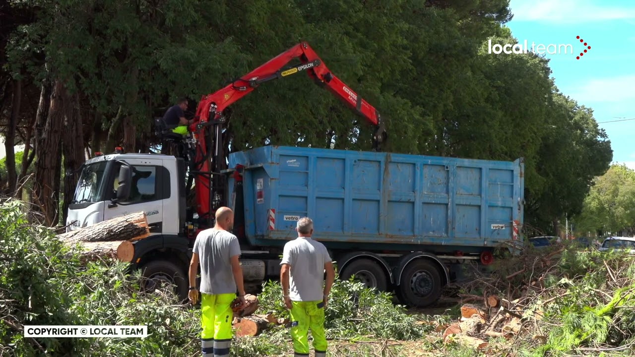 Maltempo Marina di Carrara: alberi caduti e danni ingenti