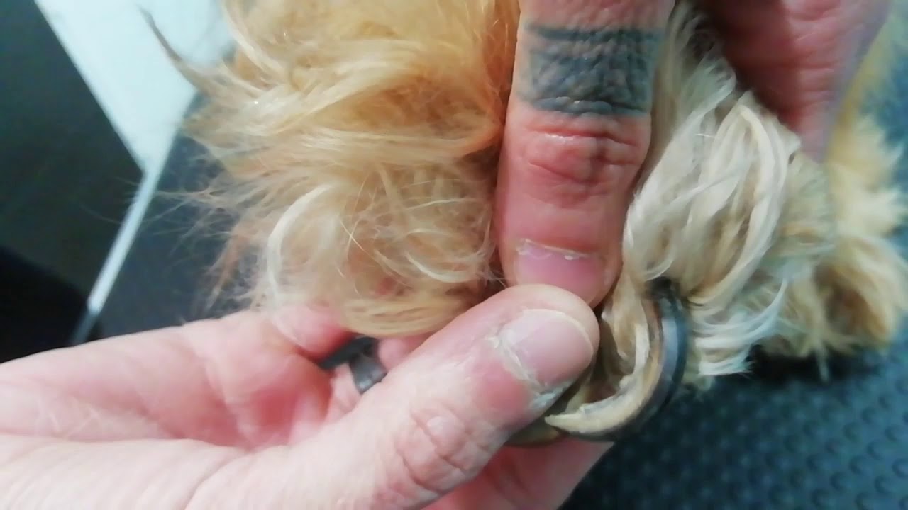 Corte de uñas