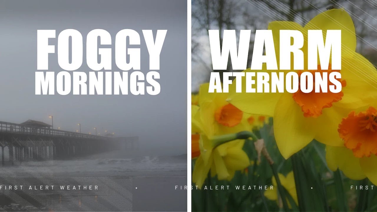 FIRST ALERT: Dense morning fog, warm afternoons continue