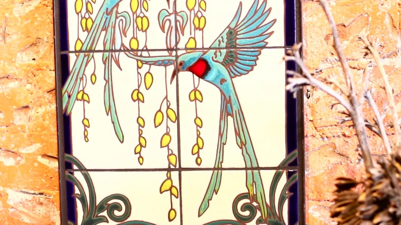 Carly Quinn Designs Tucson, AZ