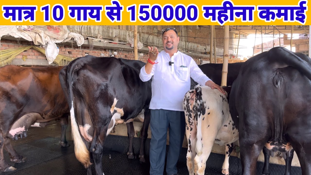 मात्र 10 गाय से महीना का 1.5 लाख कमाई || सेना के जवान का डेरी फार्म || dairy farming business
