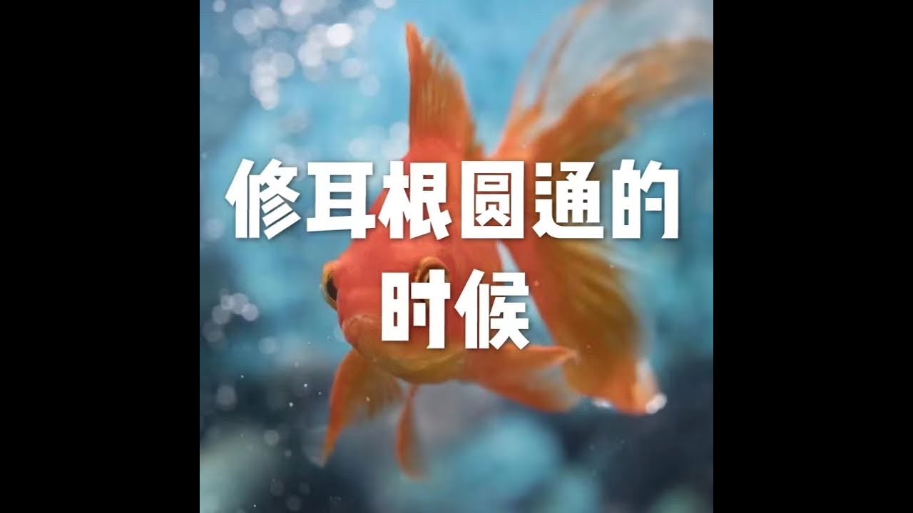 201809 修耳根圆通的时候23970