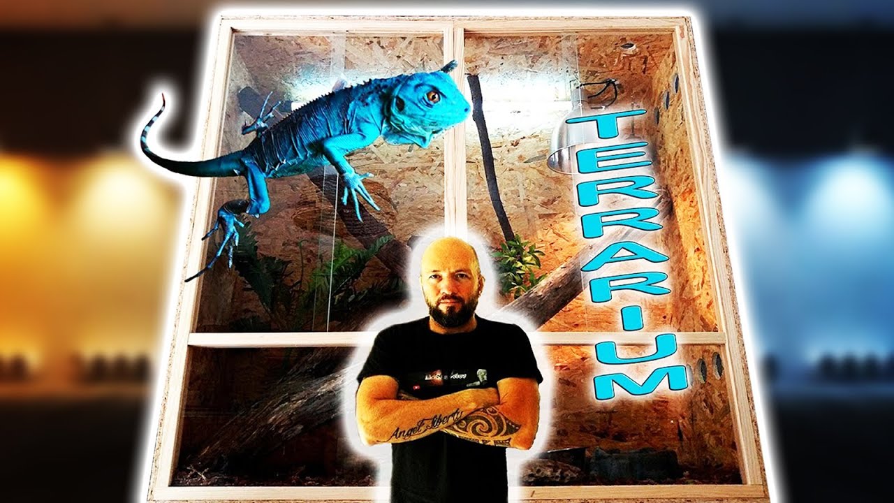 TERRARIUM GÉANT POUR IGUANE BLEU