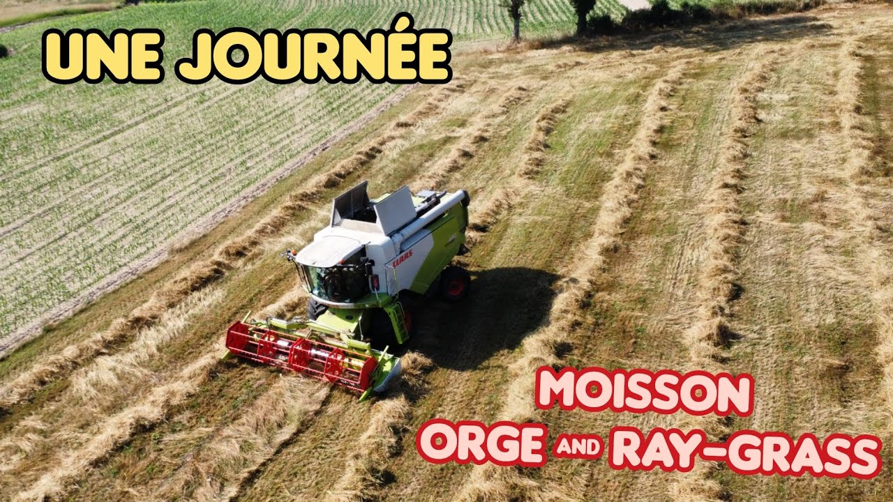 UNE JOURN&Eacute;E AU MOISSON ORGE & RAYS-GRASS