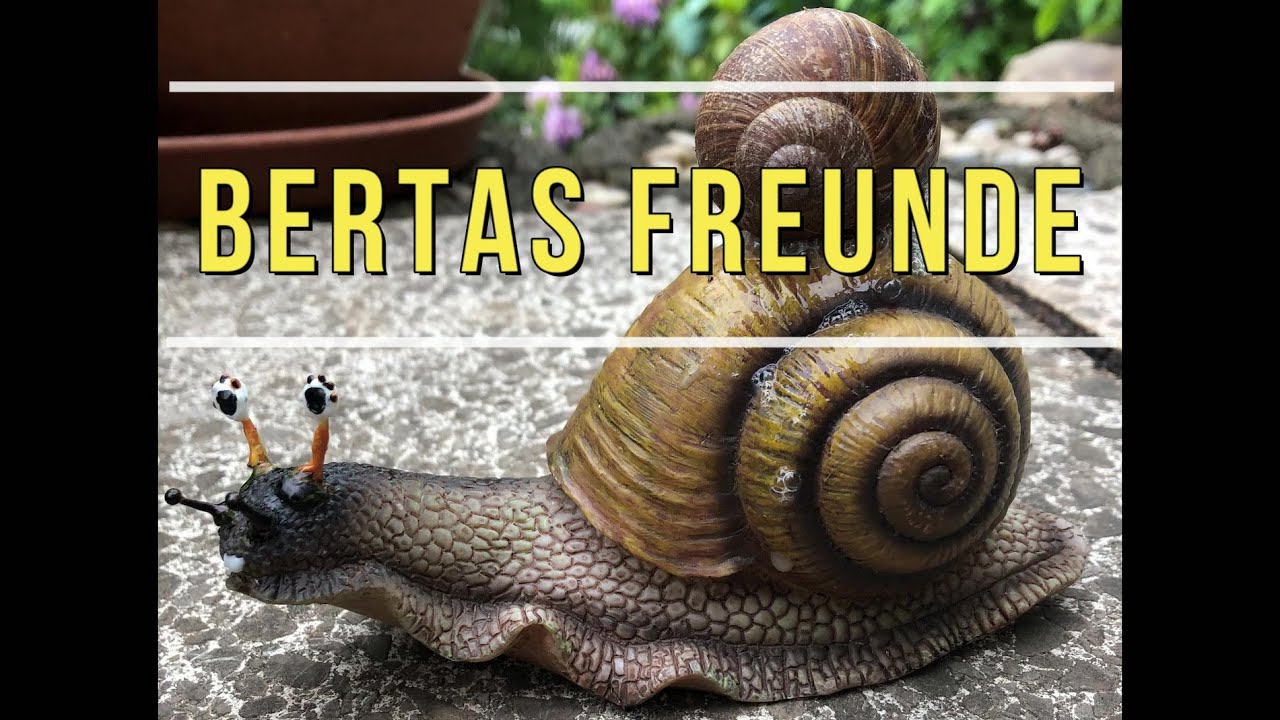 Hochlandschnecke Berta - Ein Leben am Hang 