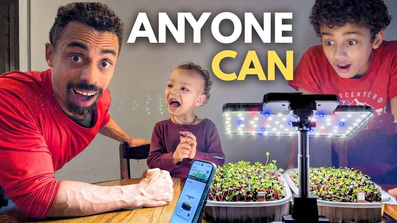 You Don&rsquo;t Need Land to Grow Food (Anyone Can Do This) | Letpot Growing System