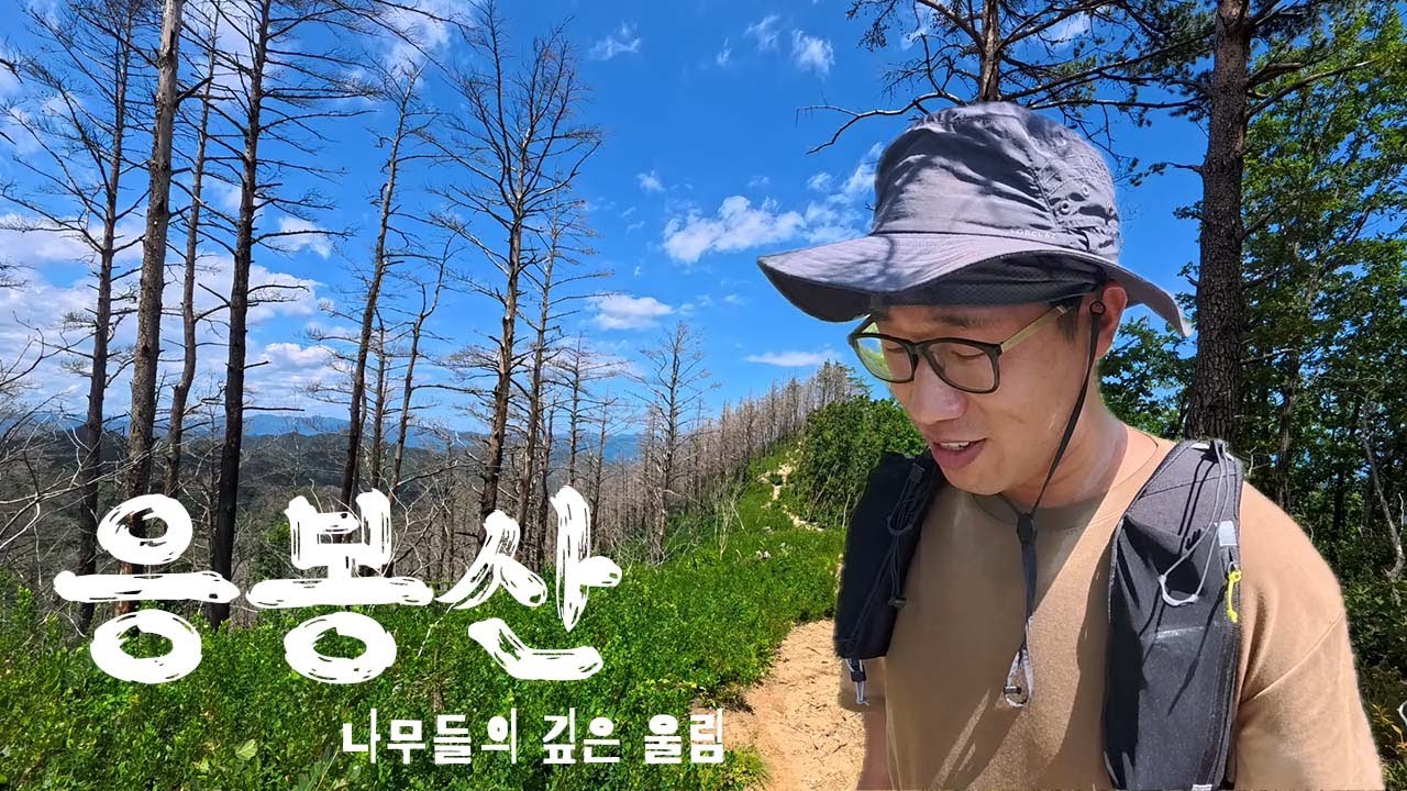 산불로 인한 나무의 생과 사의 현장을 그대로 느낄 수 있었던 아름다운 응봉산에 다녀왔습니다  ㅣ  등산 브이로그  ㅣ  울진  삼척 ㅣ 덕구 온천   용소 폭포 ㅣ 여름 ㅣ 4K