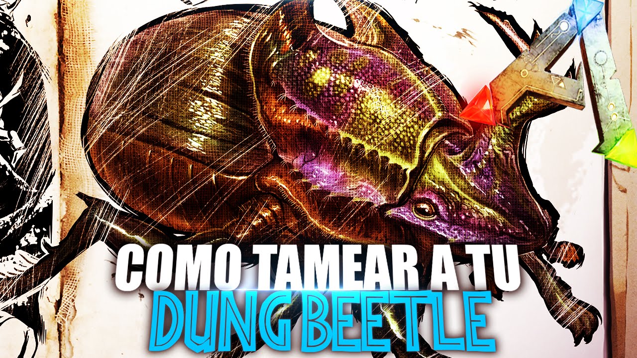 COMO TAMEAR A TU DUNG BEETLE | Guia Español | Ark: Survival Evolved