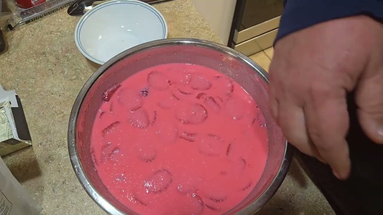 High Protein Jello Dessert (no sugar)