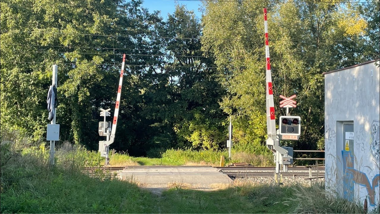 LIVESTREAM #55: Železniční přejezd Uhersko #2 - 19.9.2025 / Czech railroad crossing