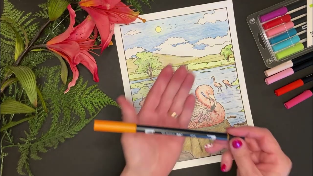 Relax & Color, African Wildlife Mamas and their Babies - Flamingos Color Reel – Part 5