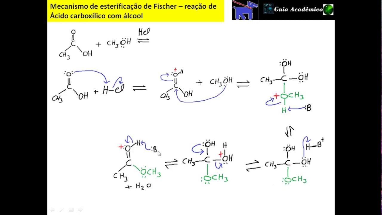 199- Mecanismo de esterificação de Fischer - Reação de  Ácido carboxílico com álcool