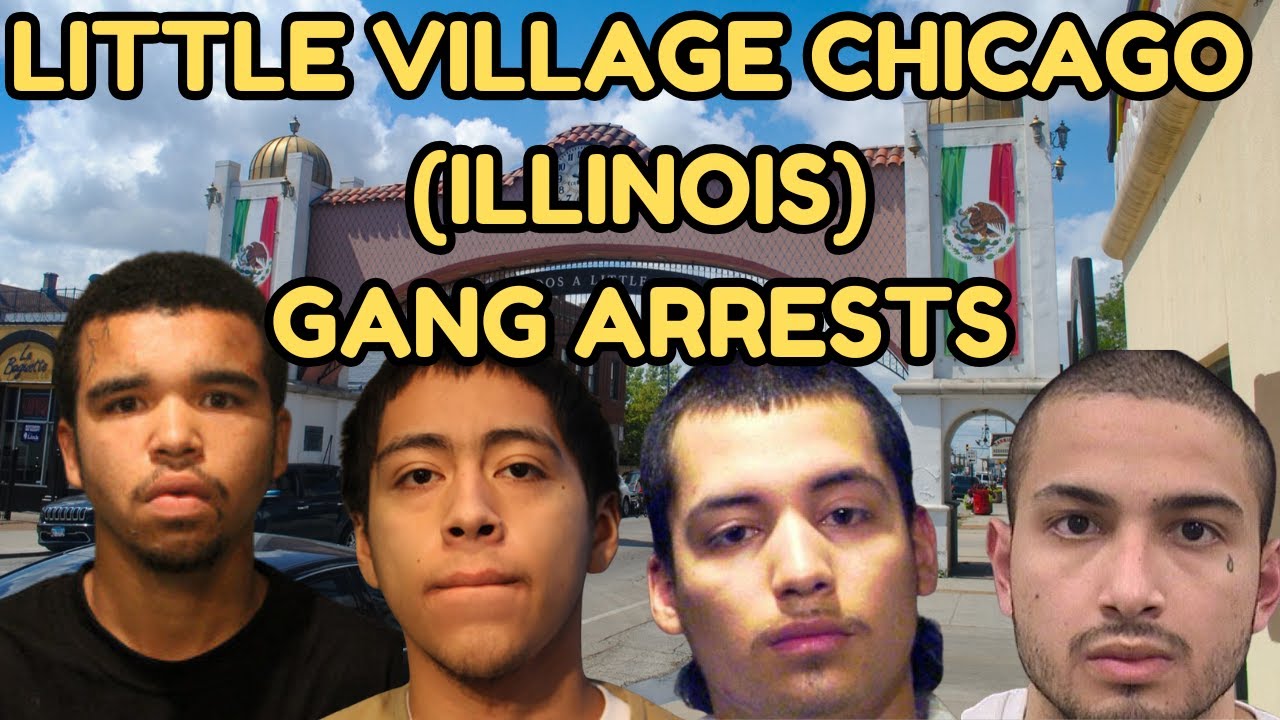 Little Village Chicago Gang Arrests: Inside the Latin Kings vs Two-Six Rivalry & More | Illinois
