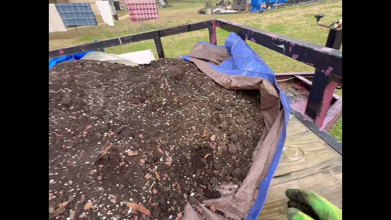 Filling my raised beds