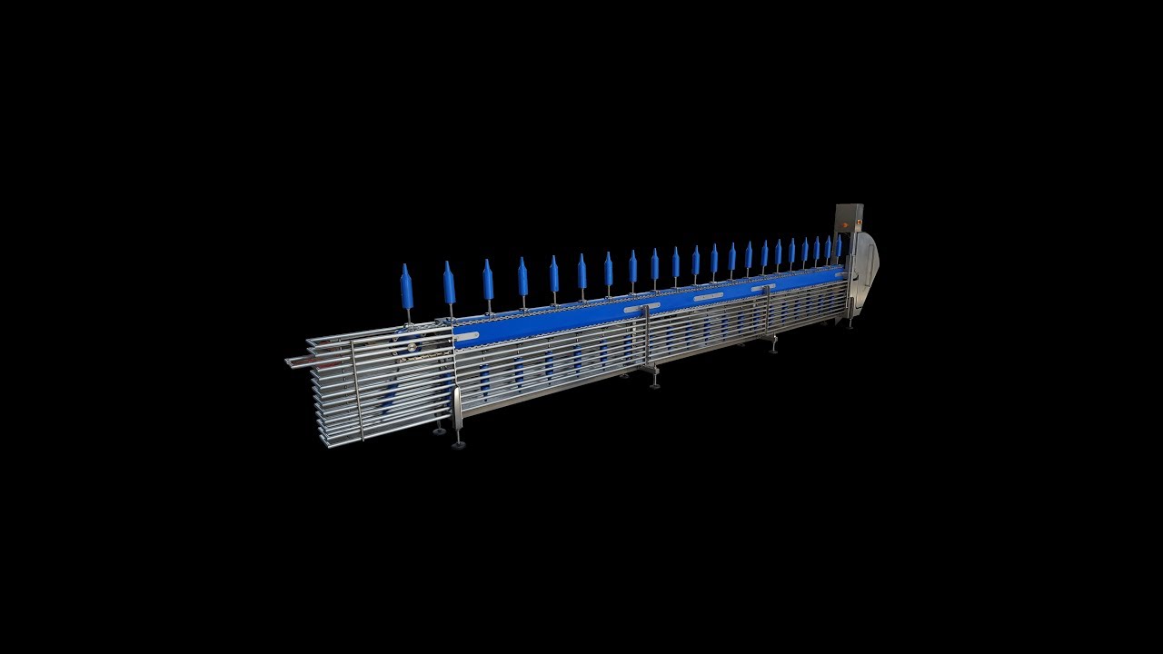 Dutch Poultry Tech Cone Debone Line