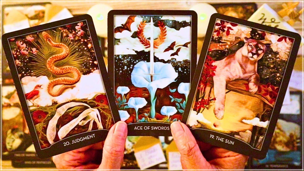 SOMEONE YOU&rsquo;RE NOT TALKING TO WILL APPEAR!! 😲❤️ LOVE TAROT
