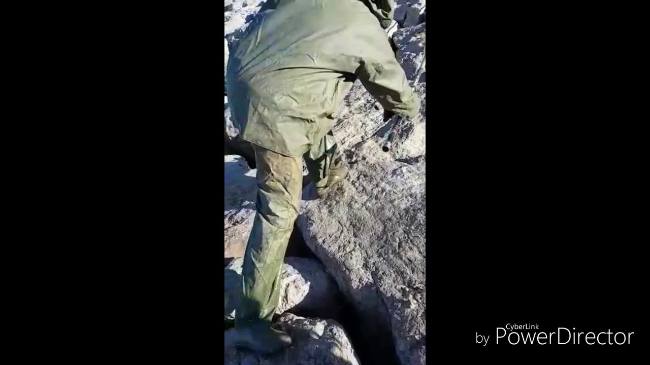 الحلقة الثالثة من تعليم الصيد بالقصبة (صيد الشرغو بالقصبة بطنجة مرقالة)