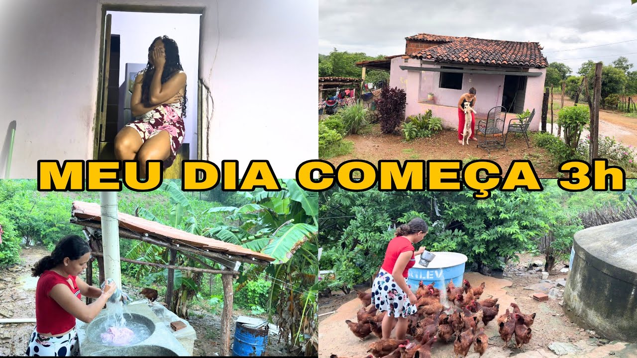 ACORDEI 3 HORAS DA MADRUGADA |ROTINA NO SÍTIO.