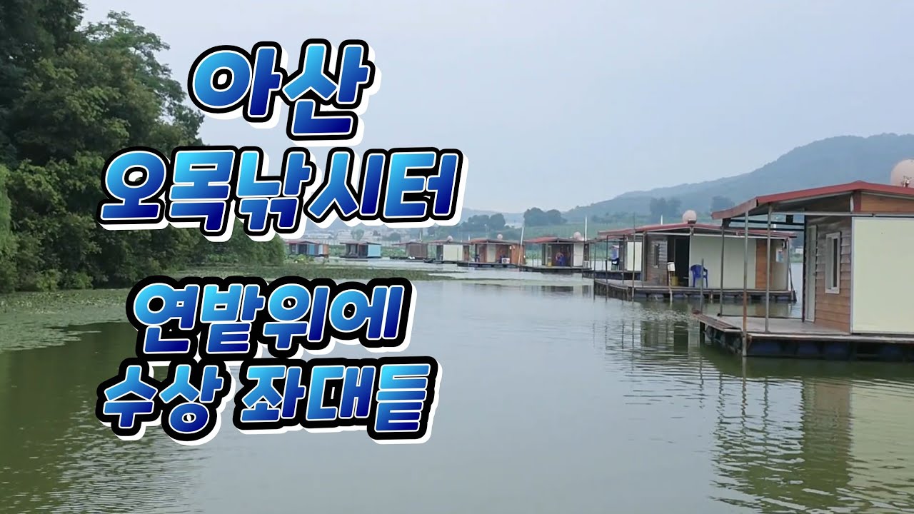 [낚시터 시설정보] 아산 오목 낚시터