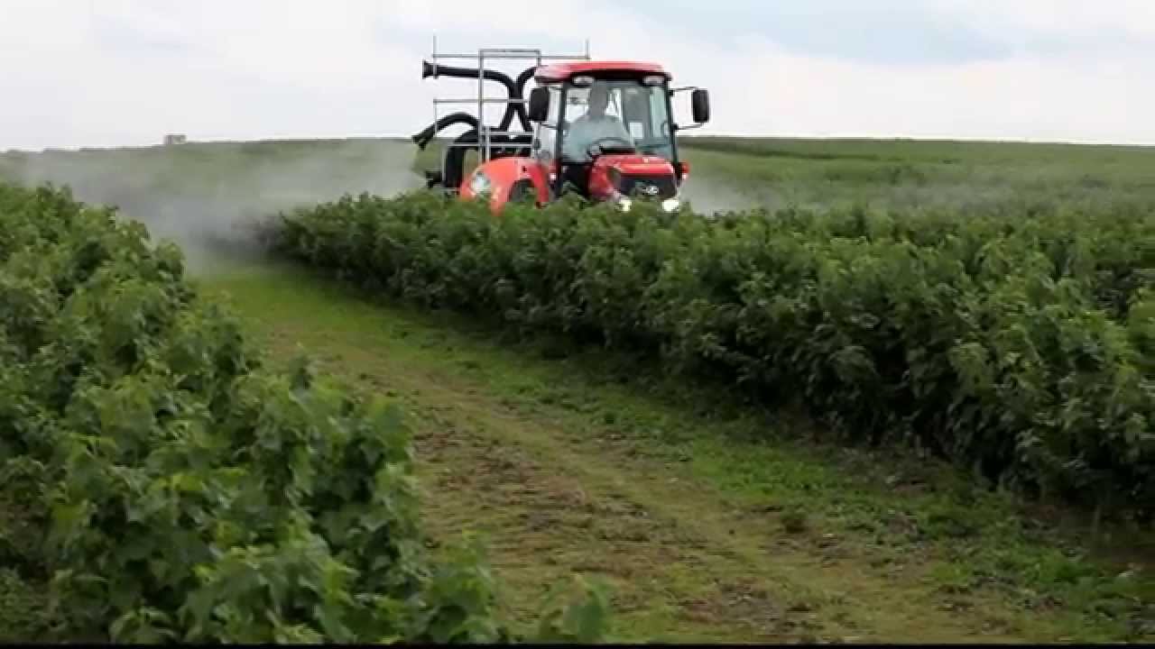 Opryskiwacze do krzewów - IV MIędzynarodowa Konferencja Porzeczkowa IBA