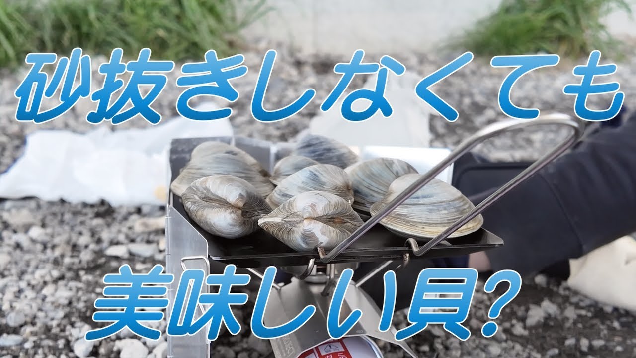 砂抜きしなくても美味しい貝？【潮干狩り 3月】
