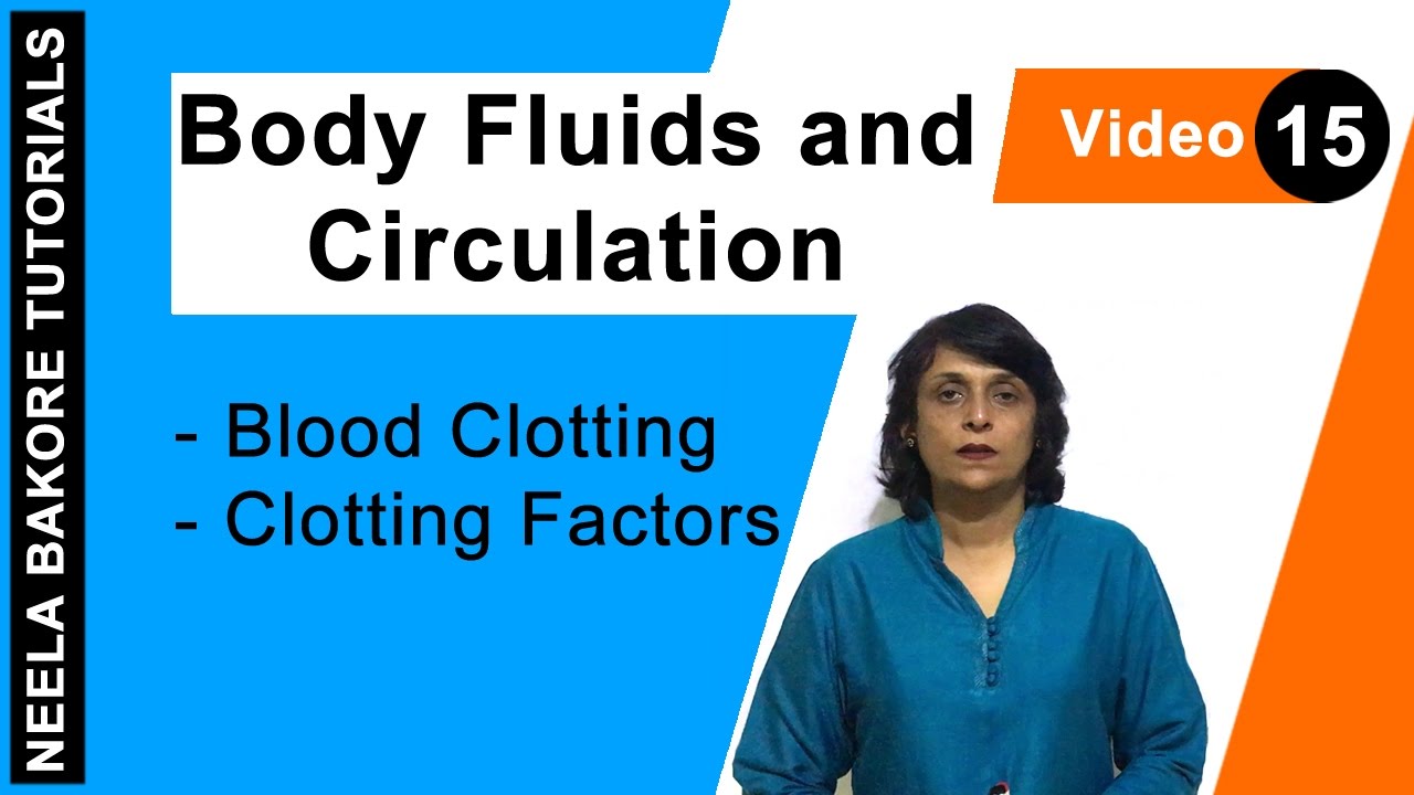 Body Fluids and Circulation | NEET | Blood Clotting - Clotting Factors | Neela Bakore Tutorials