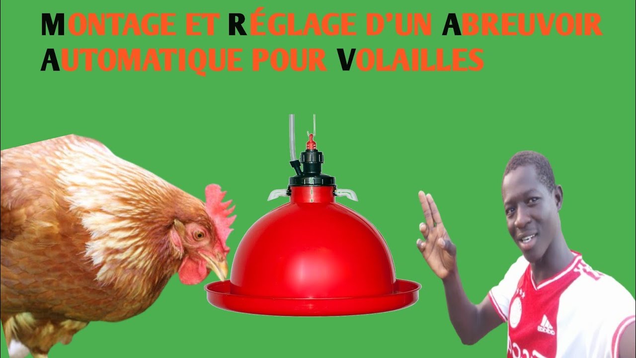 @Montage et Réglage des abreuvoirs automatique s pour volailles