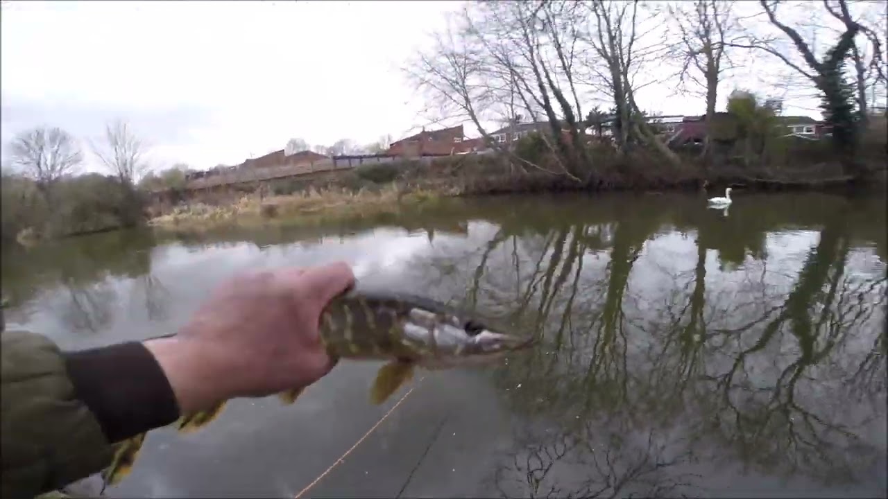Fishing the Grand Union canal