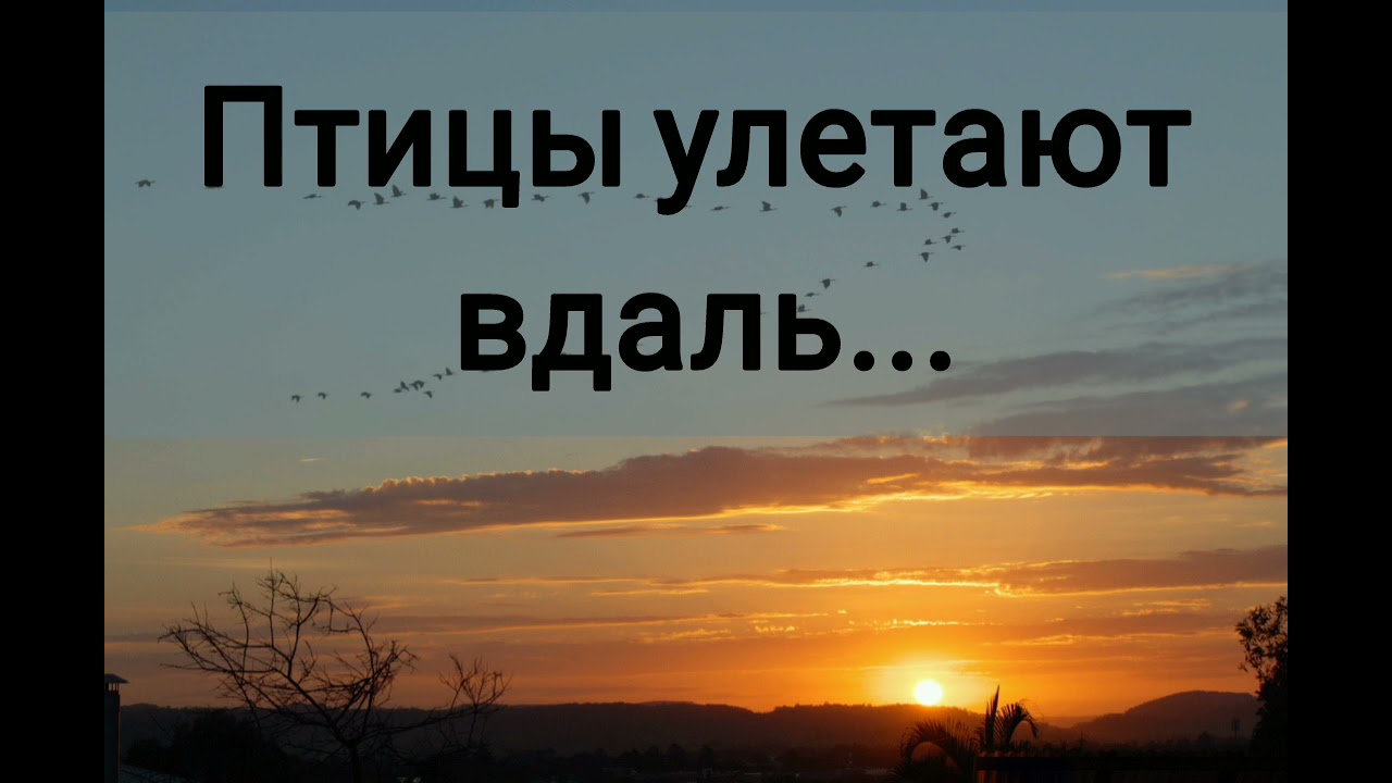 Птицы улетают вдаль - христианская песня.