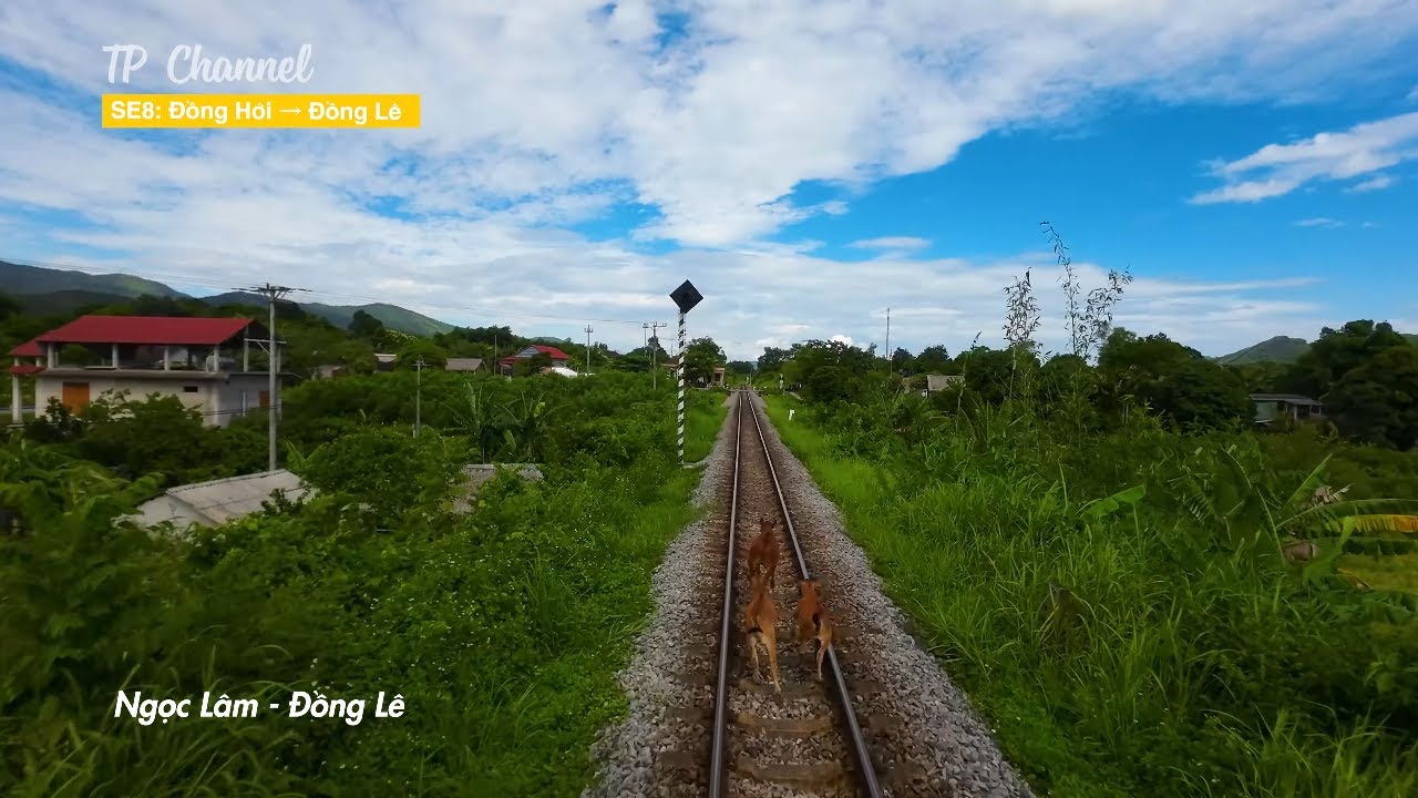 HÀNH TRÌNH TÀU HOẢ | NGẮM NHÌN CẢNH TÀU SE8 ĐI QUANH SÔNG GIANH QUẢNG BÌNH TỪ ĐỒNG HỚI ĐI  ĐỒNG LÊ
