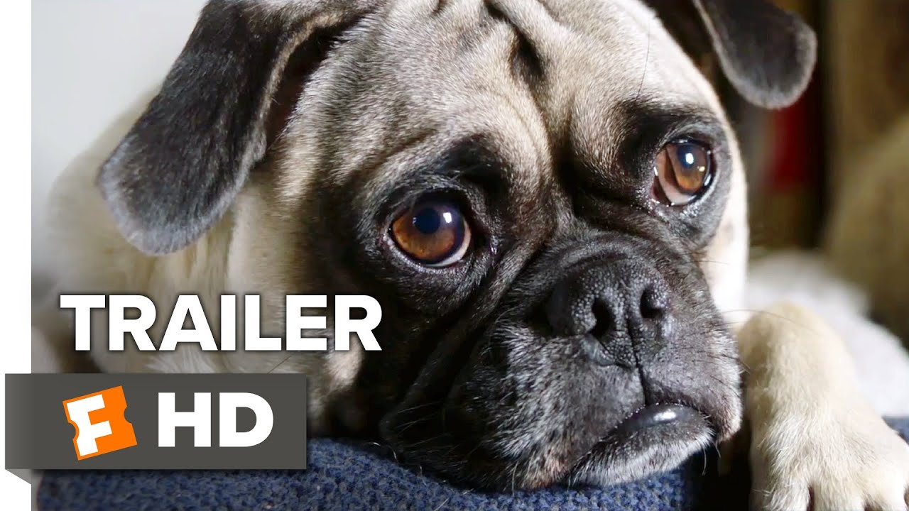 Dog Days Teaser Trailer #1 (2018) | Movieclips Indie