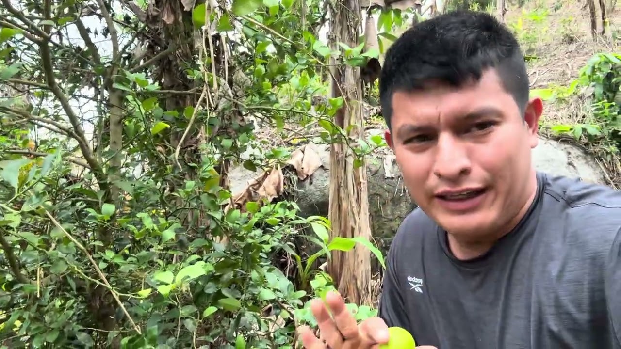 SACANDO CALDO CON TRAPICHE Walter vlogs 