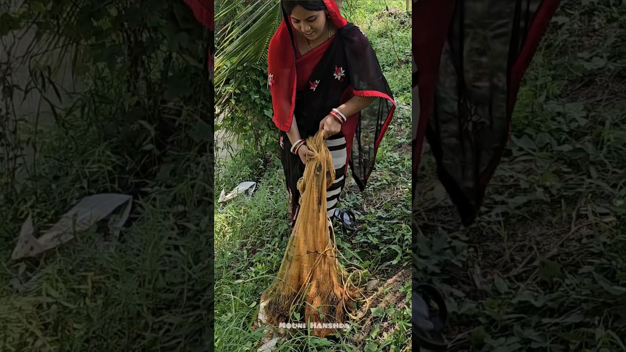 Amazing Village Women net fishing #shorts #fishing #reels