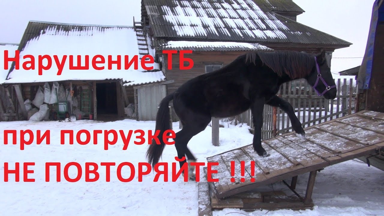 Экстрим при обучении погрузке. Не повторяйте этого!
