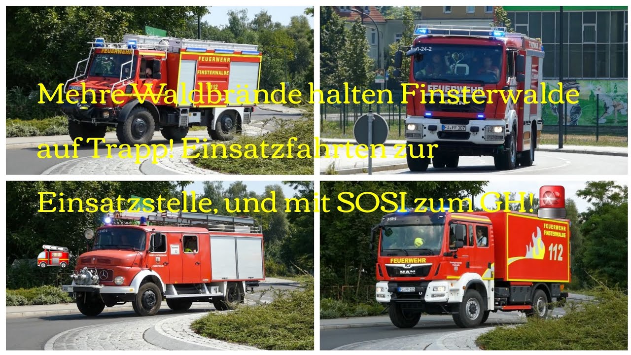 Mehrere Waldbrände halten Finsterwalde auf Trapp! Mit SOSI zur Einsatzstelle&Wache! LF16TS u.n.v.m!🚨