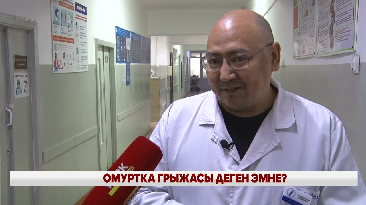 ОМУРТКА ГРЫЖАСЫНЫН КЕСЕПЕТТЕРИ ЖАНА ПАЙДА БОЛУШУ