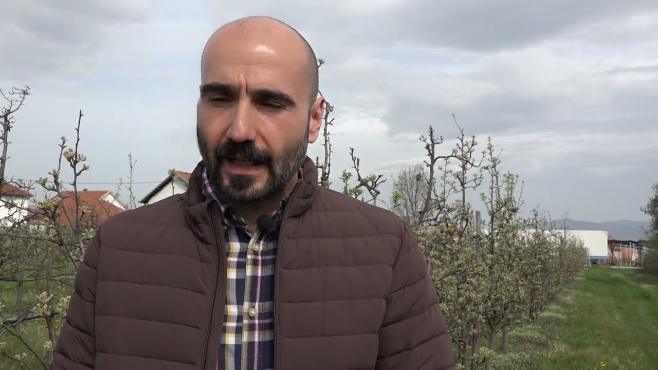 Voćarstvo  mraz nije jedini problem voćara krajem marta