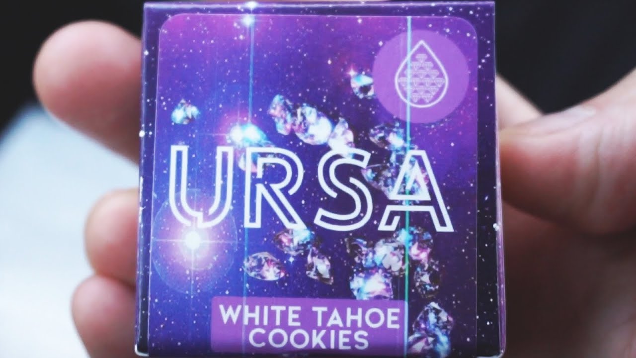 WHITE TAHOE COOKIES LIVE RESIN by URSA