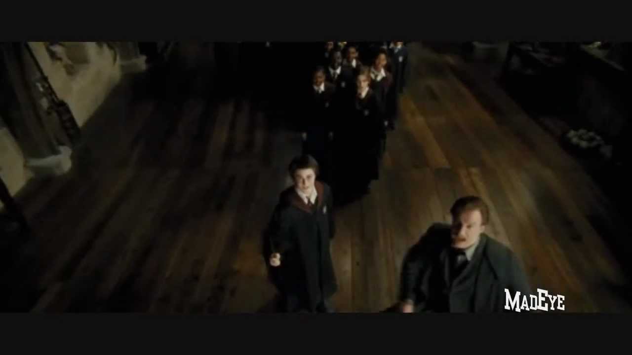 Remus & Sirius - 'Harry We Come For You!'