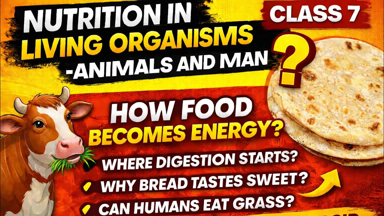 Nutrition in Living Organisms Class 7 | Full Chapter Explanation | DAV School #class7 #science #bio 